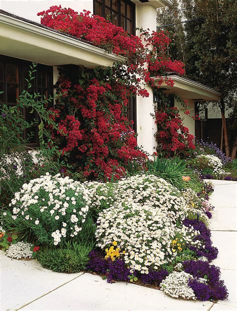 Front Yard Flower Bed Ideas For A Welcoming Entryway Bientin