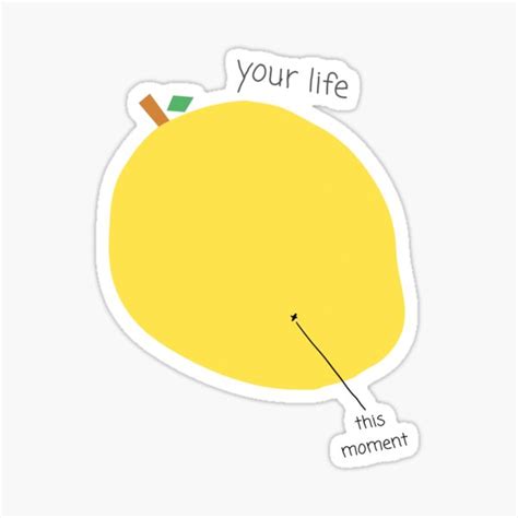 "Your Life - This Moment Funny Life Quote" Sticker for Sale by Kr-It ...