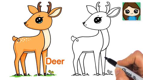 How To Draw A Deer 🦌 Youtube