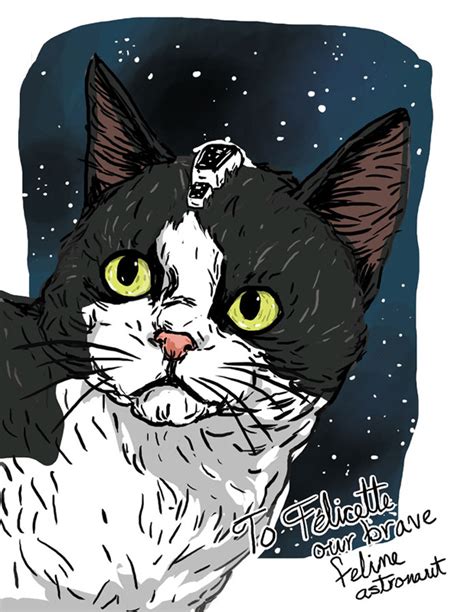 Ami Moore Illustration: Cats in Space - Félicette