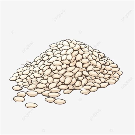 Sesame Seed White Cartoon Sesame Seed White Png Transparent Image