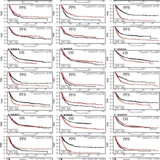 Genetic Mutation And Co Expression Of Chd Members In Gastric Cancer