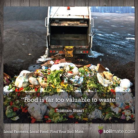 Agreed. #foodwaste #foodquotes #food | Food waste, Food quotes, Healthy ...