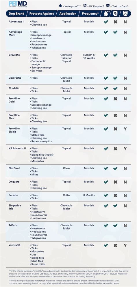 Guide To Flea And Tick Prevention For Dogs PetMD