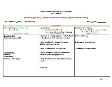 Care Plan M Lincoln Technical Institute