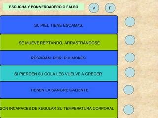 LAS LAGARTIJAS PPT Descarga Gratuita