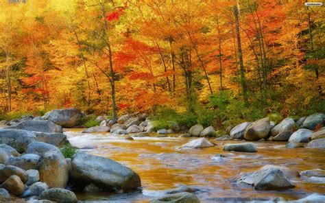 New Hampshire Autumn Beautiful Nature Wallpaper Hd Landscape