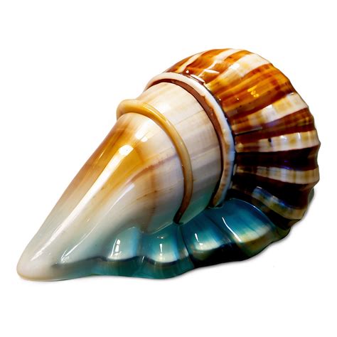 Ocean Shell Icon Png 05212024 Png Image