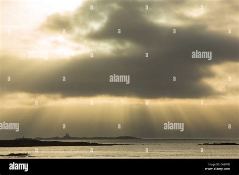 Ladders Uk Hi Res Stock Photography And Images Alamy