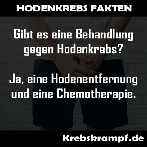 Hodenkrebs Diagnose und Behandlung Ein Überblick