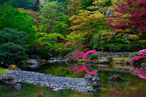 Find Your Zen In This 3.5-Acre Seattle Japanese Garden