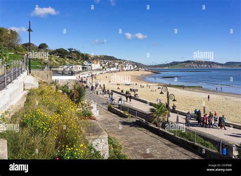 Lyme Regis bay, beach and promenade, Dorset, UK Stock Photo - Alamy