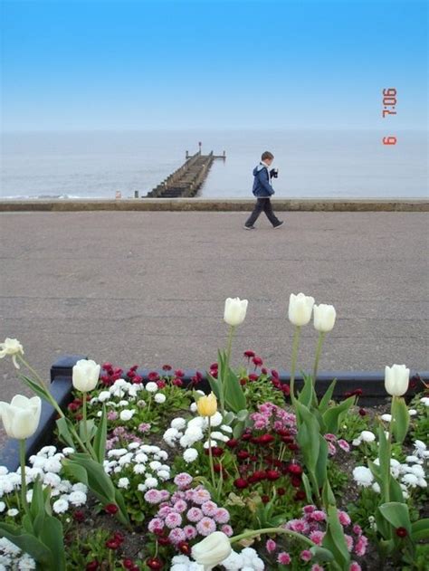 Pictures of Lowestoft Lighthouse