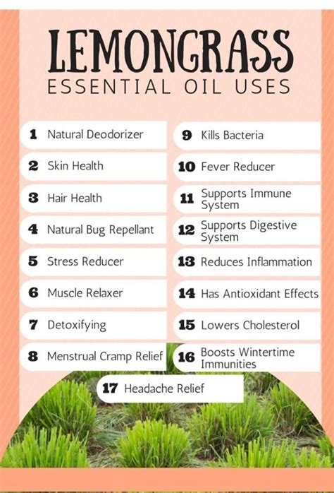 Pin By Rooted In Essentials On Essential Oils Spotlight And Usage Lemongrass Essential Oil Uses