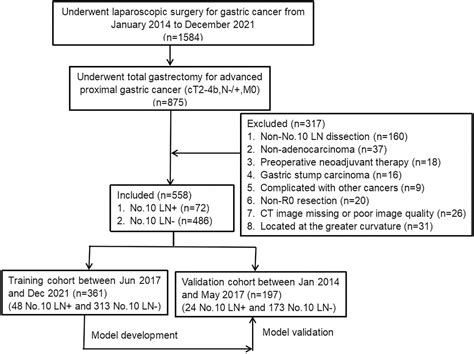 A Clinicopathologic Feature Based Nomogram For Preoperative Estimation