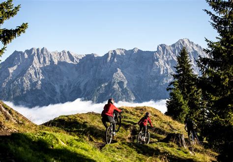 The Epic Bikepark Leogang Der Bikepark In Sterreich