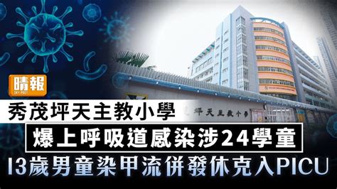 流感高峰｜秀茂坪天主教小學 爆上呼吸道感染涉24學童 另13歲男童染甲流併發休克入picu 晴報 健康 呼吸道疾病 D231128