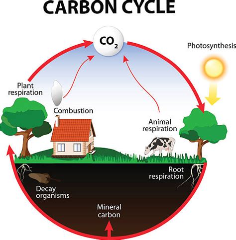 Carbon Illustrations Royalty Free Vector Graphics And Clip Art Istock