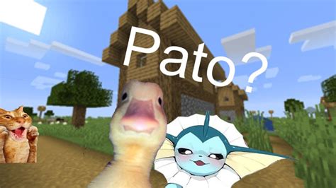 Pato Youtube