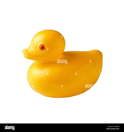 Plastic Yellow Duck Toy Isolated On White Background Stock Photo Alamy