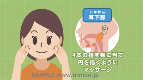 唾液腺マッサージ│歯科医院向けソリューション「trinion（トリニオン）」