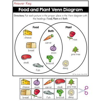 Food and Plant Venn Diagram Worksheet by The Kinder Kids | TpT | Venn diagram worksheet, Venn ...