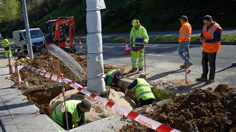 La Cuesta De Beloso De Pamplona Se Prepara Para La Tala Masiva De