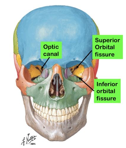 Superior Orbital Fissure