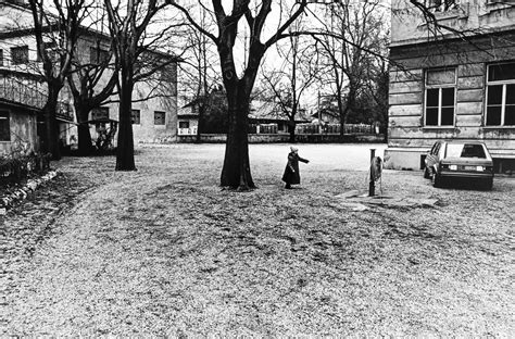 Photograph Scuola Elementare Via Dei Cappuccini Gorizia Italia