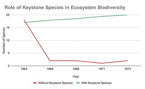 17 Keystone Species Examples [Names, Photos and Importance]