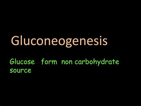 Class 4 Gluconeogenesis Ppt