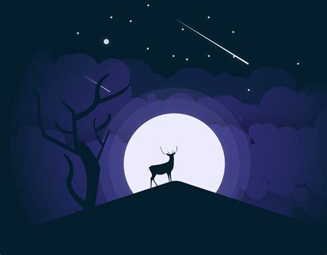 night illustration :: Behance