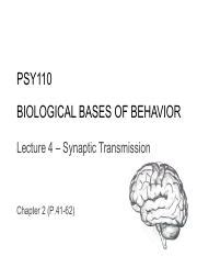 Understanding Synaptic Transmission Neuronal Communication And