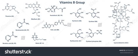 Chemical Structure B Vitamins Illustration Isolated Stock Illustration