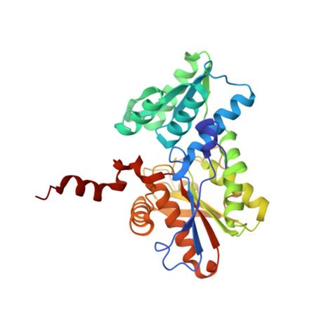 Rcsb Pdb Isq Crystal Structure Of O Acetylserine Sulfhydrylase From