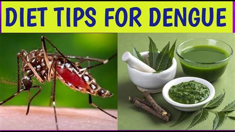 Diet Tips For Fast Recovery From Dengue Food To Eat And Avoid During