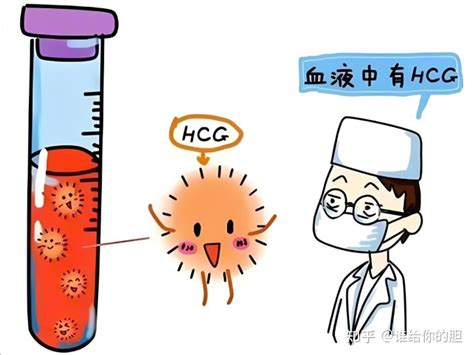 HCG值多少是怀孕HCG对照表与孕周期怎么看一文教你读懂 知乎