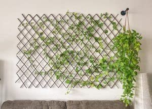 Beautiful Diy Indoor Plant Display Ideas Balcony Garden Web