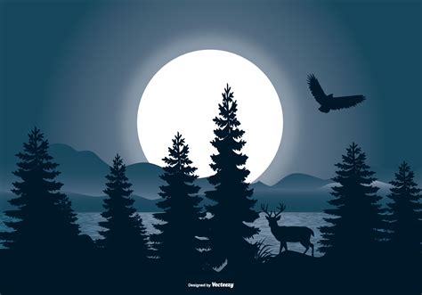 Beautiful Night Landscape Scene 150083 Vector Art at Vecteezy