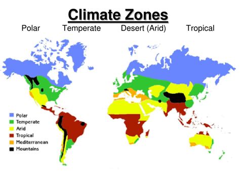 PPT - Climate Activities PowerPoint Presentation, free download - ID ...