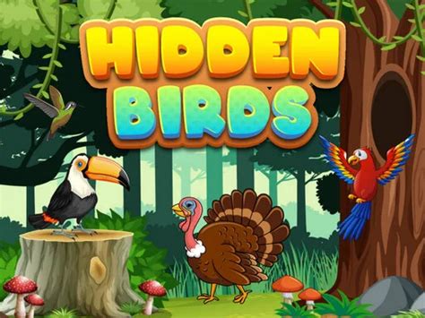 Hidden Birds Igraj Besplatno Na Top Igre