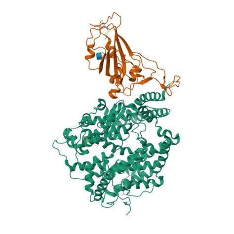 RCSB PDB 7WSH Cryo EM Structure Of SARS CoV 2 Spike Receptor Binding