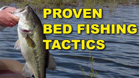 Proven Bed Fishing Tactics For Spawning Bass Bass Fishing YouTube