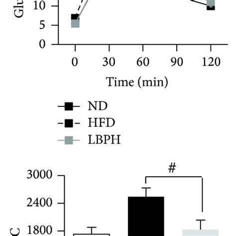 LBP Prevents HFD Induced Insulin Resistance And Modulates Glucose