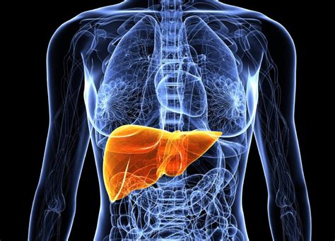 Гепатоз печени - симптомы