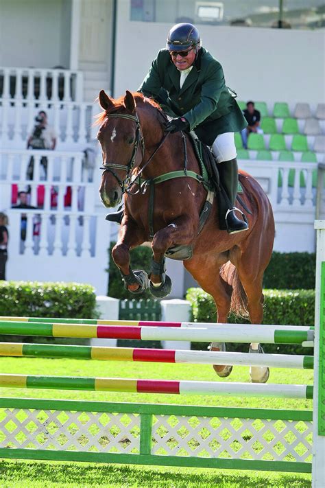 Os Cavalos de José Cid Portal Equitação