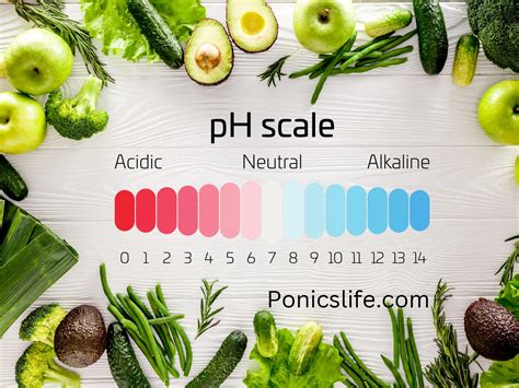 Ph Scale Foods