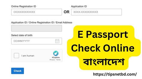 ই পাসপোর্ট চেক করার নিয়ম ২০২৪ অনলাইনে পাসপোর্ট ডেলিভারি চেক Tech Tips