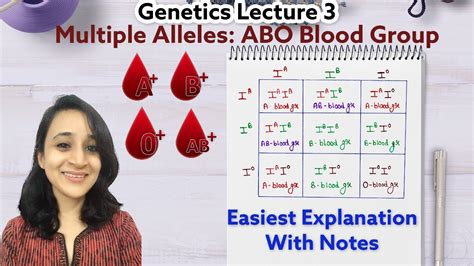 Multiple Alleles ABO Blood Group System Handmade Notes For Exam