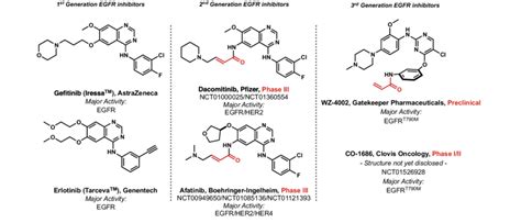 Selected 1st, 2nd and 3rd generation EGFR inhibitors for NSCLC ...